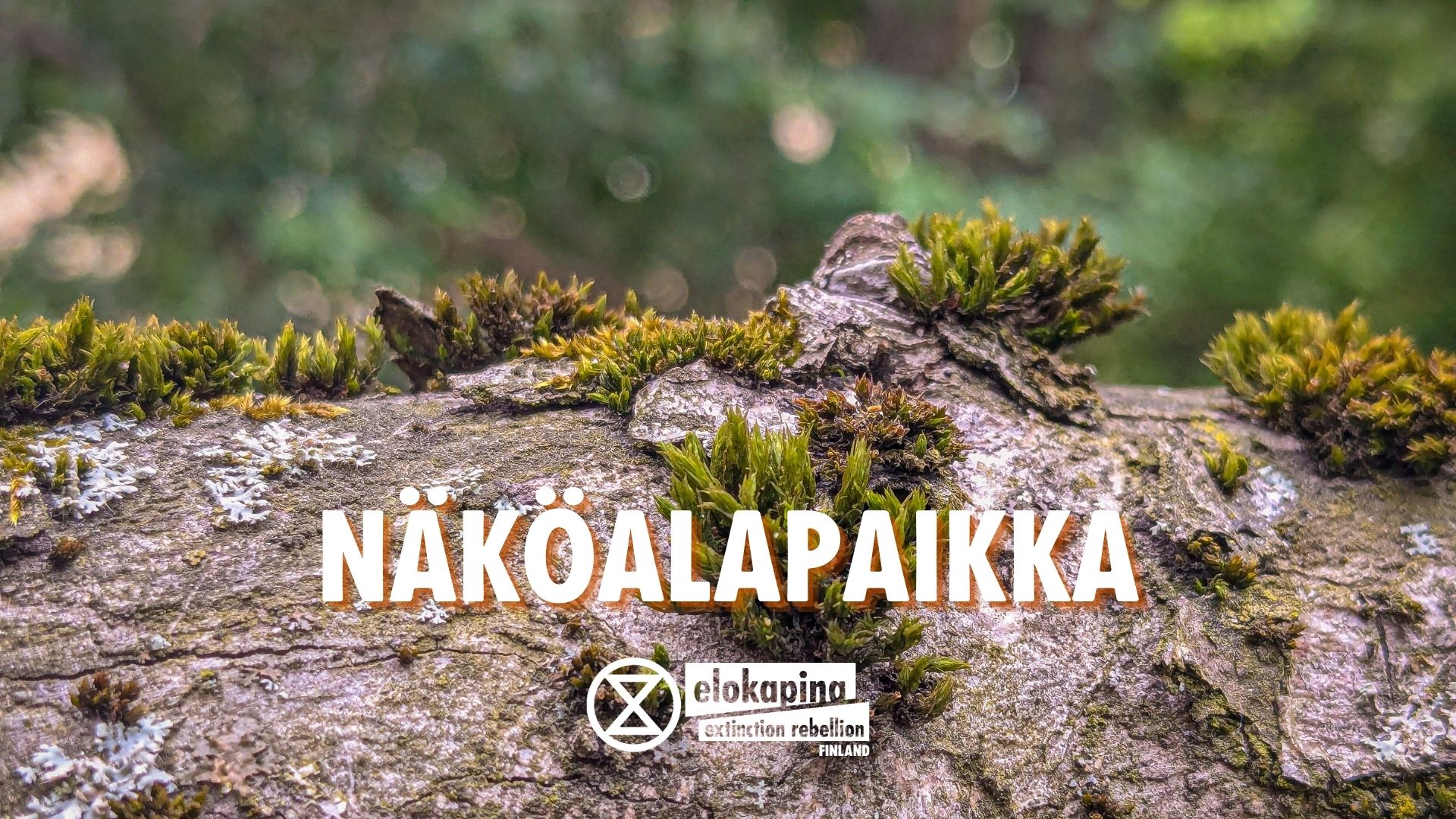 Näköalapaikka